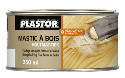 Plastor - Mastic à Bois