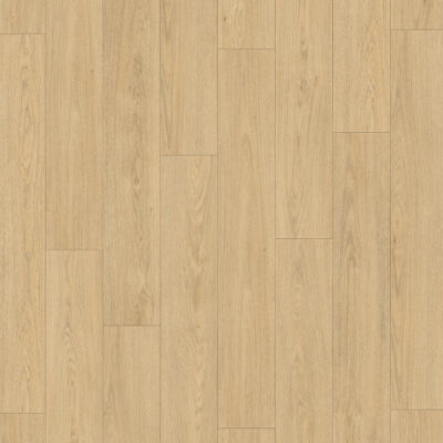 DD Planche extra longue Truffe 8 mm, 24,3 cm, 4V