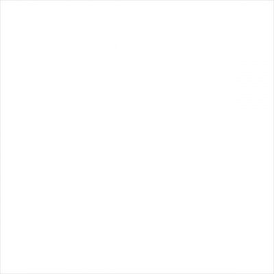 Mortier de joint Schönox ES blanc 300 ml