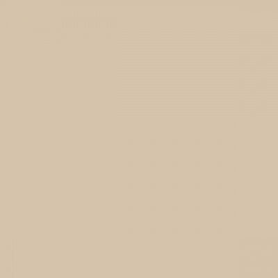 Mortier de joint Schönox MES jurabeige 300 ml