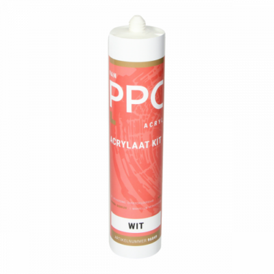 PPC mastic acrylique blanc 300 ml