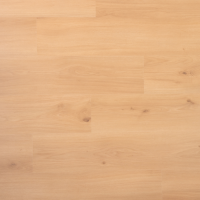 DD Planche Estragon - 19,2 cm, plat